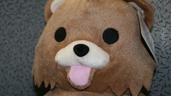 Pedobear lolicon Bears teddy