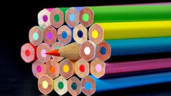 Pencils colors colored pencils