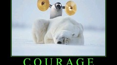 Penguins courage sleeping cymbals