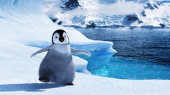Penguins Happy Feet baby birds Happy Feet 2