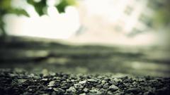 People Other only would agree 768 1366