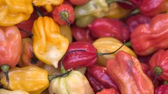 Pepper colorful food Food