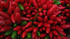 Peppers veronaimg Food and