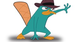 Perry the Platypus Schnabeltier