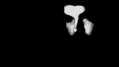 Phantom of The opera