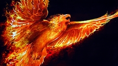Phoenix