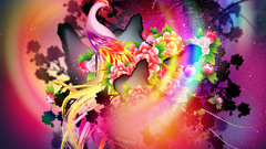 Phoenix colourful design studio