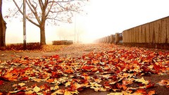 Photographers Andrejs Zavadskis