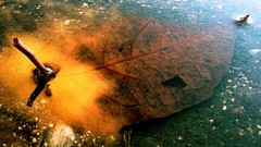 Photographers Andrejs Zavadskis