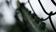 Photographers t-post im huge