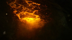 Photography aquarium photo camera