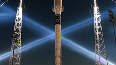 Photos Wild falcon appears