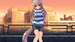 Photoshop Anime blush cities anime girls brunettes animal ears 