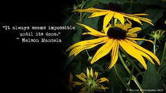 Phrase word speech nelson mandela Quotes inspirational proverb 