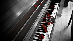 Piano red rose