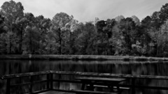 Picnic table monochrome Art