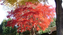 Picture high bumpin Resolution