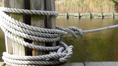 Picture thanks The sweet myself took sdc