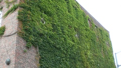 Picture Your Normal never have considered been 002