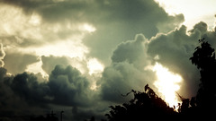 Pictures The raw using