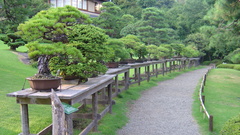 Pictures vacation high dumping dsc Resolution