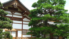 Pictures vacation high dumping dsc Resolution