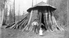 Pid aid stump sourceimage