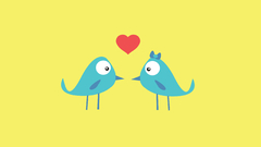 Pigeon love yellow You