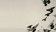 Pigeons album covers Venetian