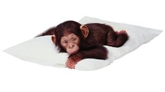 Pillows monkeys chimpanzee baby