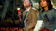 Pineapple express James franco