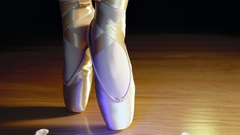 Pink ballet dance ballerina