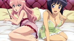 Pink hair pink eyes blue eyes zero no tsukaima Louise Françoise 