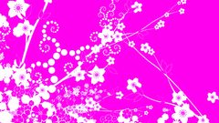 Pinkinvert try This faggot