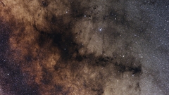 Pipeneb beletsky high