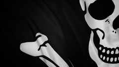 Pirates pirate flag