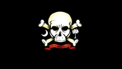 Pirates skull and crossbones