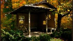 Place here high peaceful Resolution