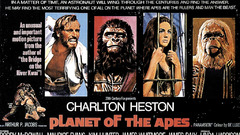 Planet apes poster popular