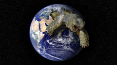 Planets Earth turtles Photo