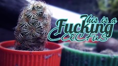 Plants cactus desing
