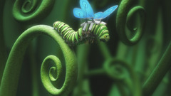 Plants caterpillars artwork Butterflies