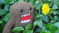 Plants Domo-kun
