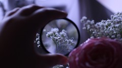 Plants hands Herbs flora loupe