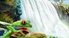 Plants paintings waterfalls Frogs multicolor amphibians tree 