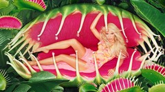 Plants shakira shrunken woman