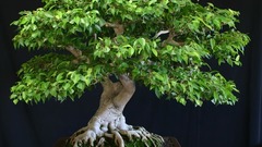 Please all feel Free This have