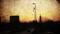 Please dump horror will what creepy gore have