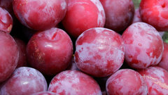 Plums inbasket Food and