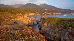 Point California Pelicans